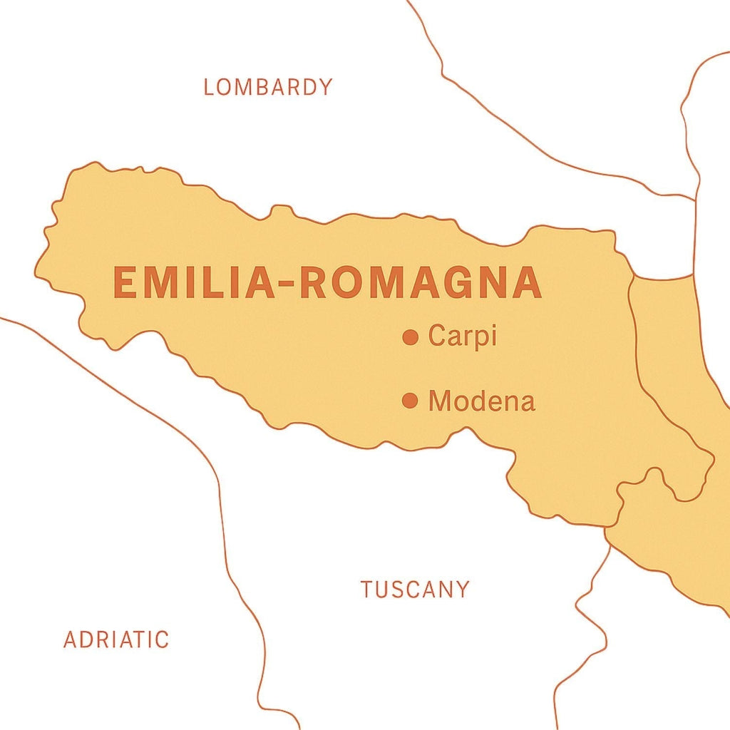Where does notte bianca come from?