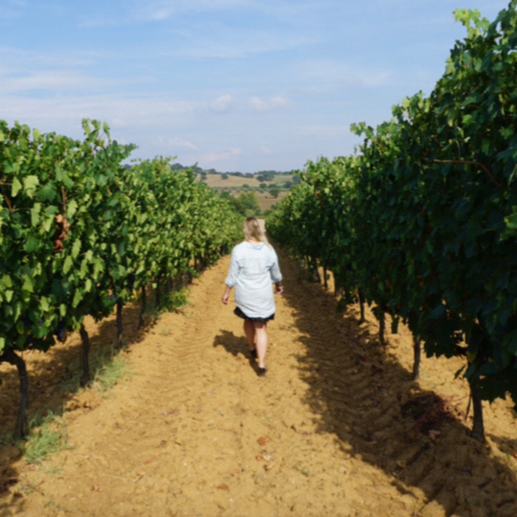 Wine Tariffs Update: Same Price, Same Care — Good Clean Wine