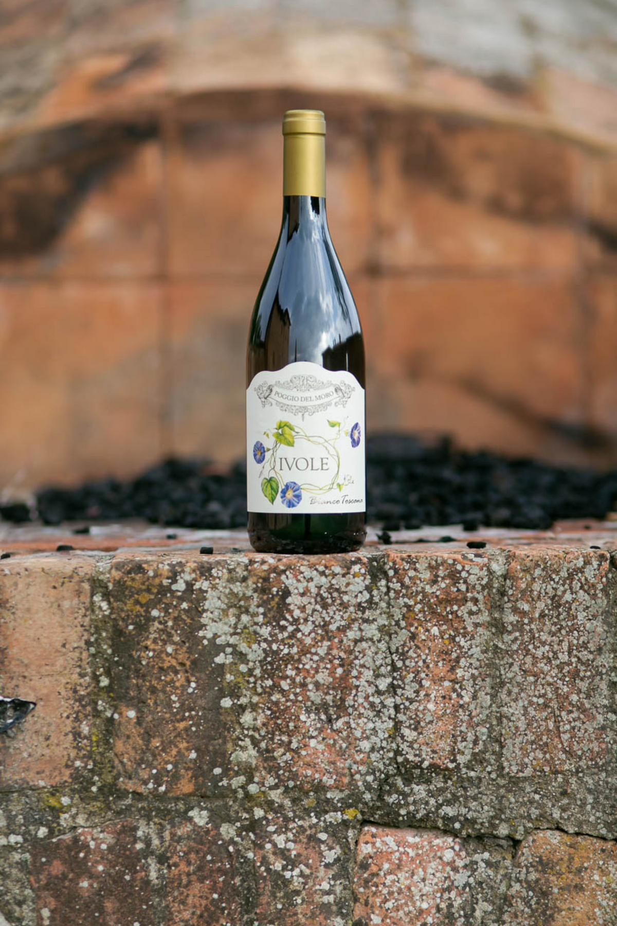 Ivole - good clean white